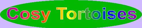 Cosy Tortoises Online Shop selling accessories for tortoises.
