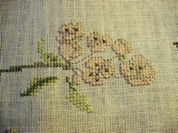 detail of flower cluster