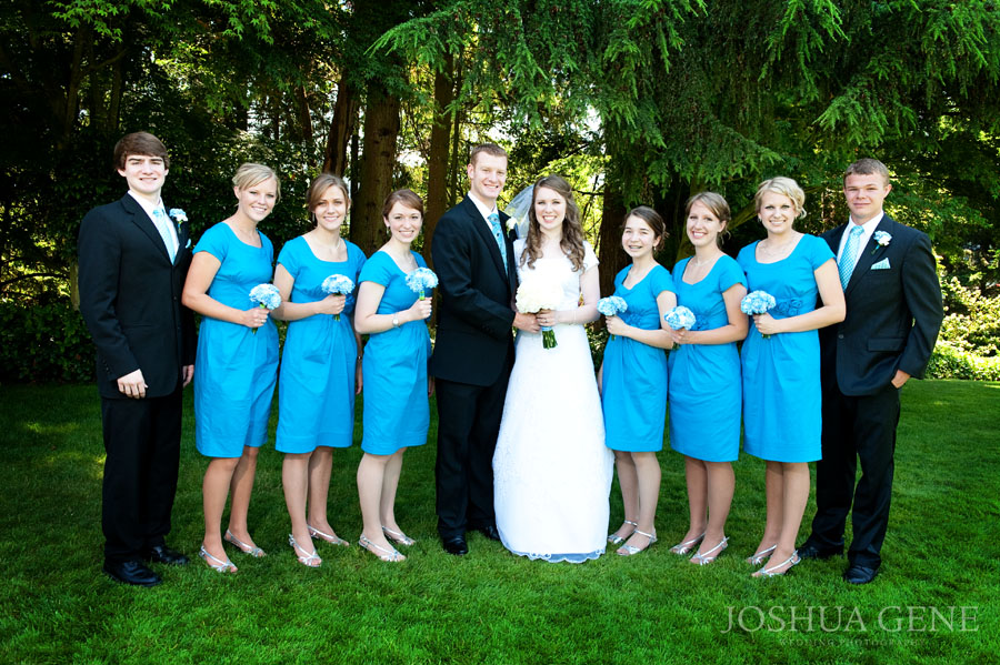 mormon bridesmaid dresses