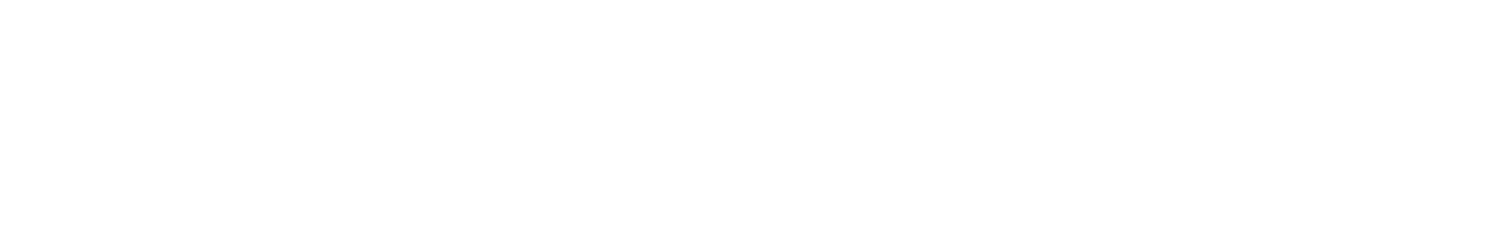 DJ Brian Howe logo
